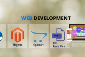 open source cms web design & develop