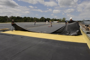 RLF Thermal Roofing Systems Inc